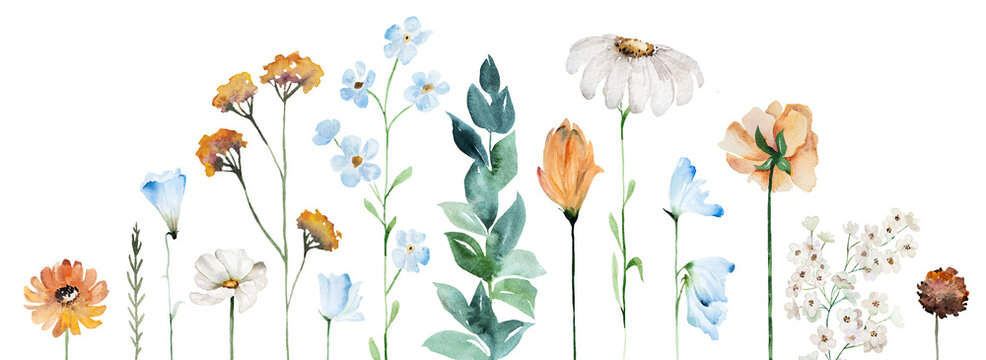 Watercolor border with blue, ivory and orange wildflowers, illustration for wedding stationery