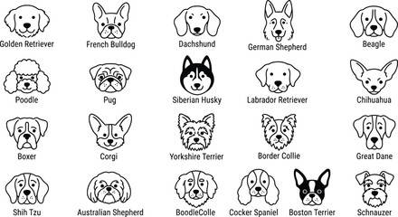 Dog Breed Faces Doodle Vector Set Hand Drawn Cute Puppy Head Collection © Aditya