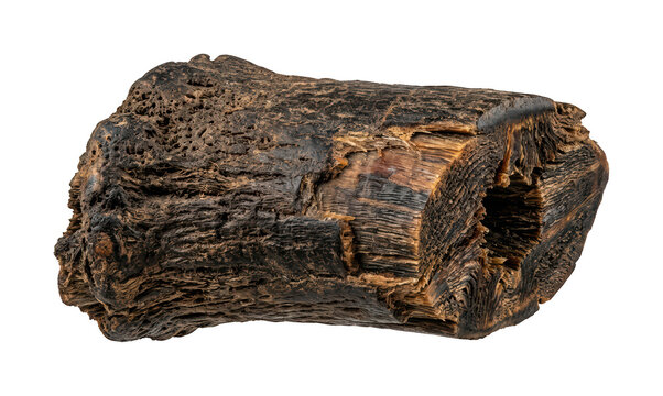 Rustic wood log design Ancient timber log theme Weathered wood log design Textural timber Wallpaper Background image