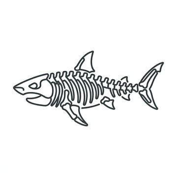 Shark skeleton icon, fish bone line art on white background