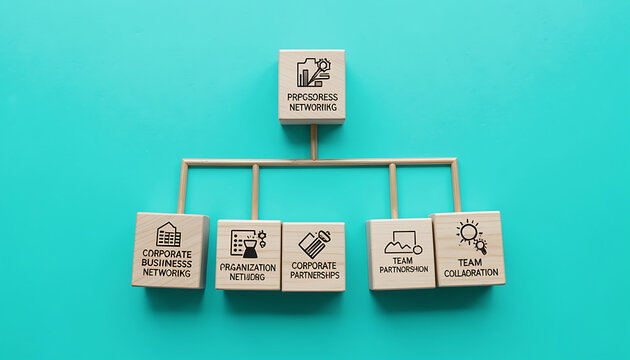 Organizational Structure Hierarchy Management
