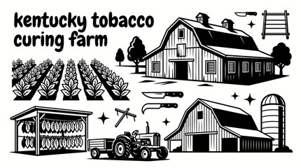 tobacco farming operation in kentucky featuring cultivated tobacco fields curing barns drying sheds harvesting equipment storage buildings and organized agricultural production creating a historic © samira