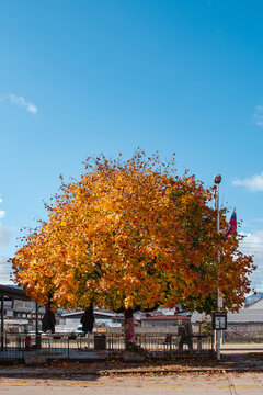 Romantic autumn day in Europe