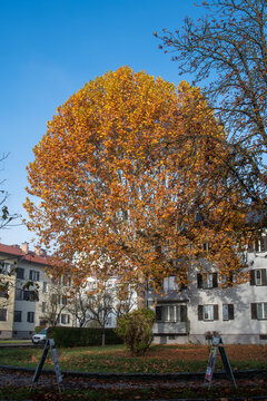 Romantic autumn day in Europe