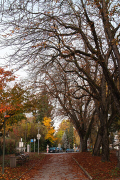 Romantic autumn day in Europe