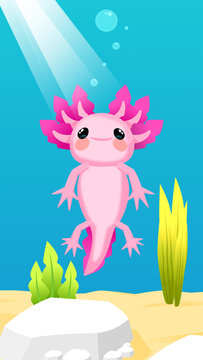 Axolotl