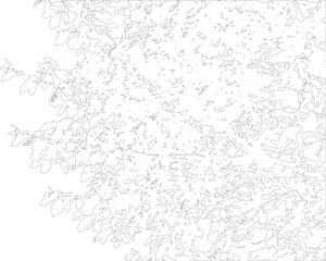 Obraz premium Detailed abstract organic line art drawing with overlapping shapes and textures on transparent background.
