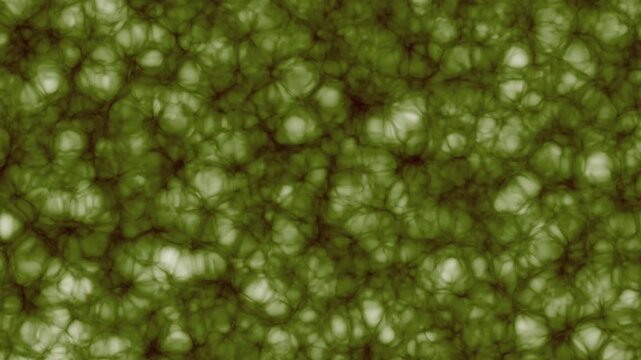 Abstract green cellular texture motion background loop with organic biological plant cell patterns, fluid bio tissue structures, and seamless scientific microbiology animation.