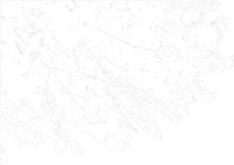 Fototapeta premium Nature inspired abstract pattern with delicate branching lines and small circles scattered on a transparent grid surface for creative projects.