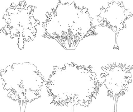 Vector line drawing of various tree shapes and species. Minimalist botanical outline elements and architectural scale tree symbols for landscape planning.