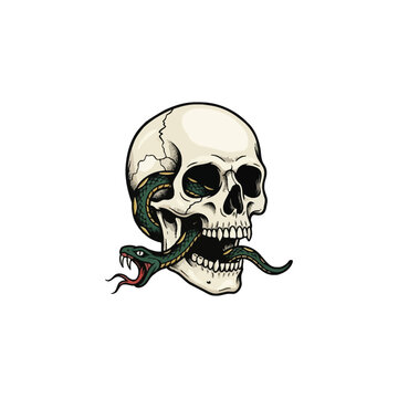 A Striking  Of A Human Skull With A Green Snake Weaving Through The Eye Socket And Mouth, Revealing Detailed Scales And Sharp Fangs, Designed For Graphic Art Projects Vector Illustration