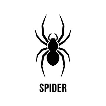 Black spider icon isolated on transparent background