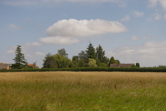 Helpston, Peterborough, Cambridgeshire, England - July 13 2026: Summer Grass Meadow with Hedgerow, Mixed Trees and Rural Cottages Under Cumulus Cloud