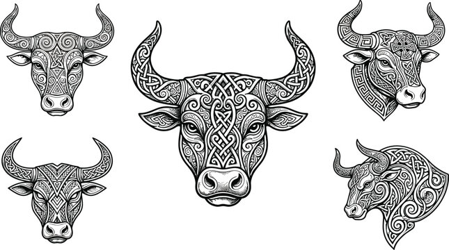 Taurus bull head vector set with tribal celtic knot patterns for masculine tattoos logo and merchandise designs