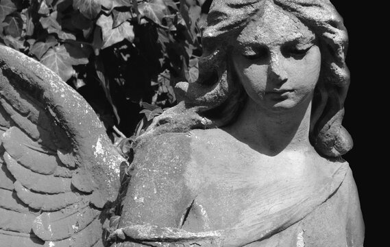 Black and white close-up of an ancient cemetery angel statue with lowered gaze and folded wings. A timeless symbol of remembrance, peace, faith, hope, divine protection and eternal love.