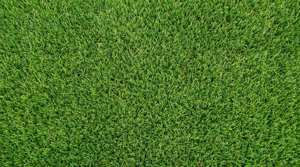 Fototapeta premium Dense Green Artificial Grass Texture with Short Uniform Turf Fibers, Seamless Synthetic Lawn Background for Soccer Field, Sports Ground, Garden, Playground, Landscaping, Wallpaper and Mockups
