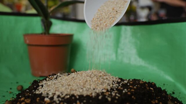 Female gardener wearing gardening glove pouring perlite drainage substrate from scoop onto potting soil. Footage is perfect for plant care tutorials and hobby marketing