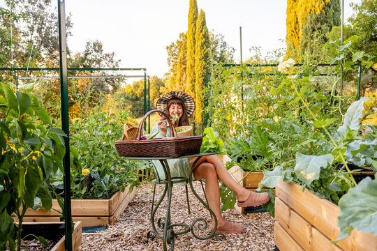 Woman Enjoying Fresh Garden Salad in Raised Vegetable Garden