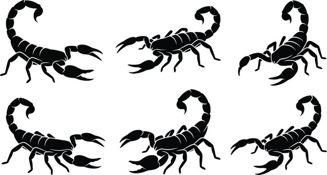 Scorpion icons, scorpion silhouettes, black scorpions, vector scorpions, insect graphics