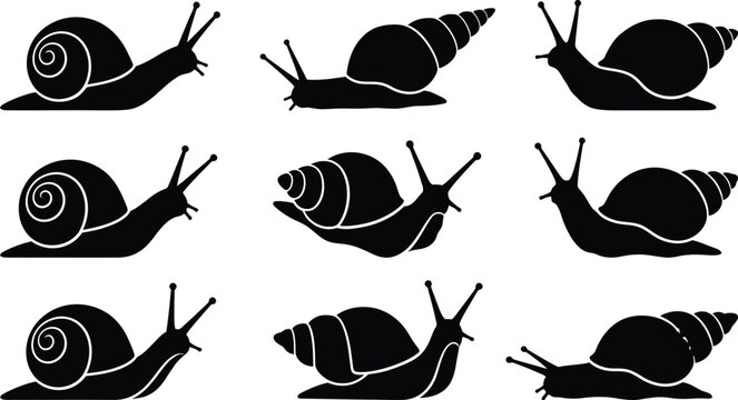 Black snail silhouettes, snail icons, vector snails, shell shapes