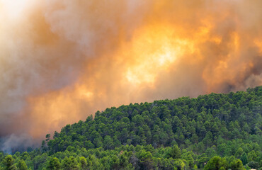 Raging wildfire consuming dry Mediterranean woodland during a severe Spanish heatwave © Hector