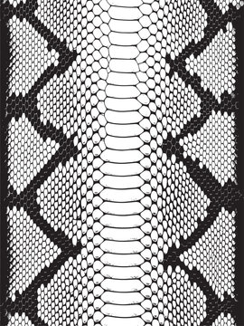 Snake skin pattern texture with reptile scales vector background