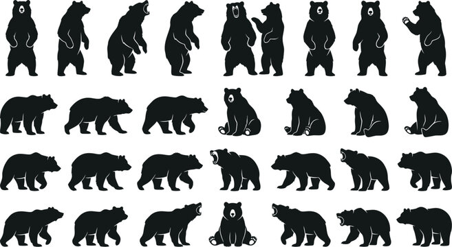 Black bear silhouettes, bear icons, animal graphics, wildlife symbols, 25 bear shapes