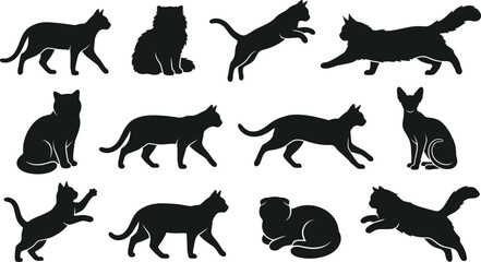Black cat silhouettes, feline icons, cat shapes, animal graphics, 12 silhouette set © Rifat