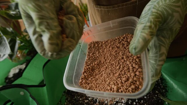 Gardener wearing patterned gloves pouring expanded clay pebbles from plastic container onto potting soil. Footage ideal for home gardening tutorials and plant care advertisements
