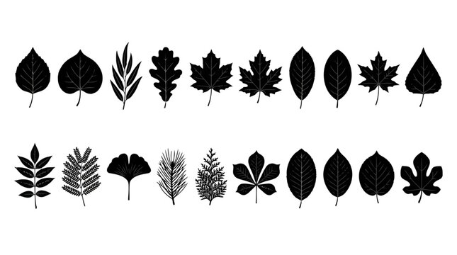 Set of various tree leaf silhouettes