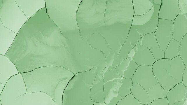 Top angle time-lapse shot of a flat pale green surface gradually dries, forming visible cracks and a fragmented texture resembling natural mudcracks