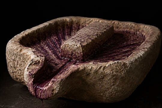 An ancient stone winepress basin with deep purple grape residue stains.