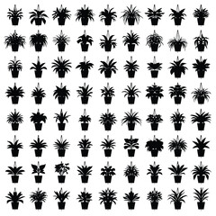 lucid-origin_Pure_white_background_featuring_50_different_black_silhouette_hanging_plants_and-0.eps © MDSHAMSUDDIN