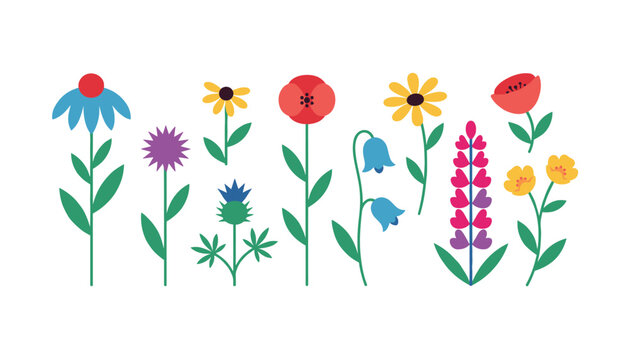 Collection of diverse colorful wildflowers and garden plants on green stems isolated on a white background.