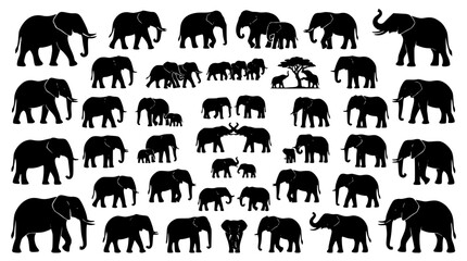 African elephant wildlife family herd silhouette icons mega set featuring walking bulls mothers calves acacia trees and safari fauna elements © Kulsum