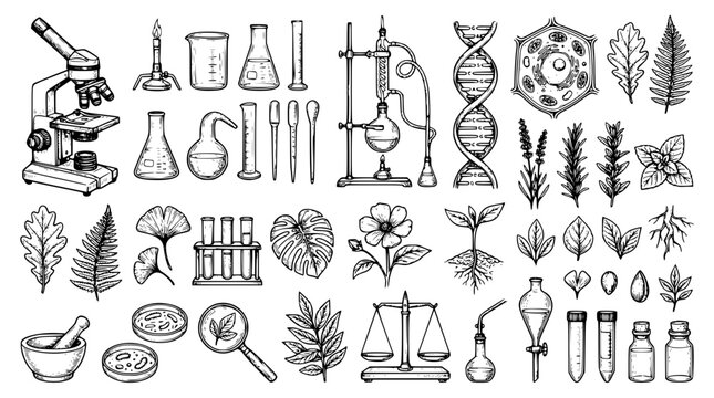 Science laboratory and biology research sketch vector set with microscope beaker flask dna plant cells and chemical lab equipment