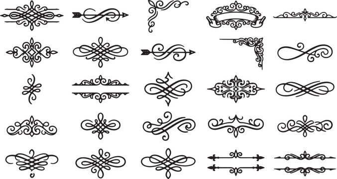 Black and white of various sea creatures and shells marine fish