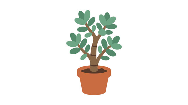 Jade Plant In Terracotta Pot Flat Vector Illustration