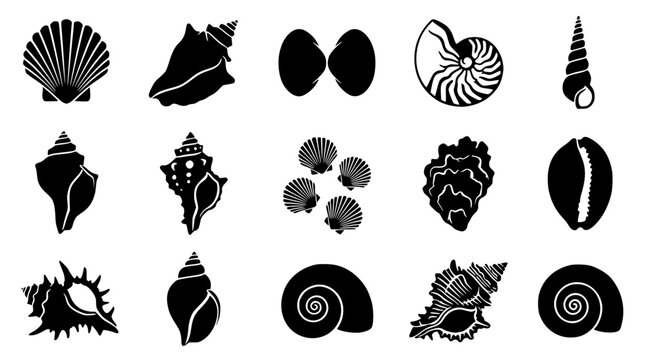 Sea shell black silhouette element collection with tropical ocean scallop conch and nautilus marine animal shapes