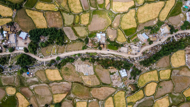 Aerial view of cultivated farmland in Leh Valley Ladakh
Traditional agriculture in Ladakh seen from above