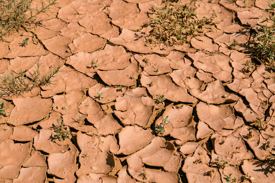 Cracked Dry Earth Texture