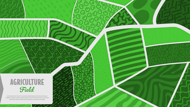 Top view of green agriculture tea and rice plantation farm field background. Abstract aerial map of land texture, vineyard, farmland, rice paddy terrace, countryside agricultural patchwork landscape