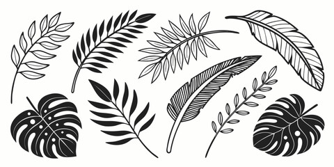 Black and white feather patterns, seamless feather © Mamun