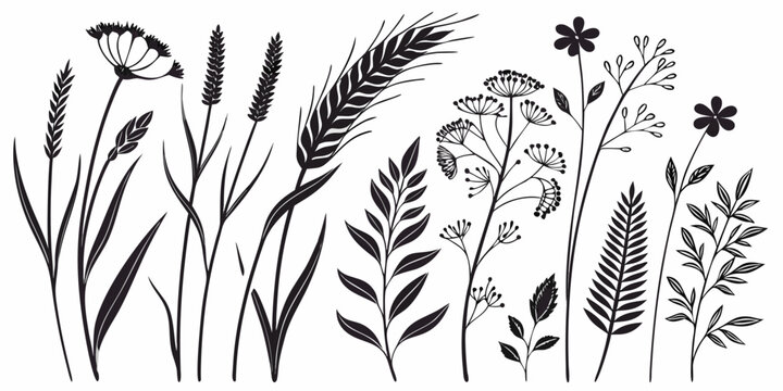 Black and white botanical line with leaves and asterisk symbols