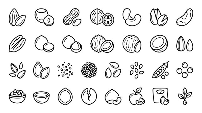 Nuts and seeds line icon set featuring almond peanut walnut cashew pistachio coconut hazelnut and healthy organic superfood symbols