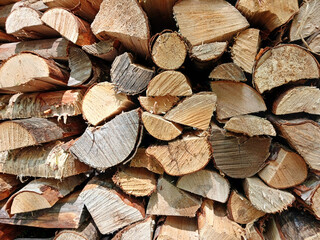 Fototapeta premium Background of logs, firewood, bark and leaf litter on the ground. Stony ground. Rustic autumn background.