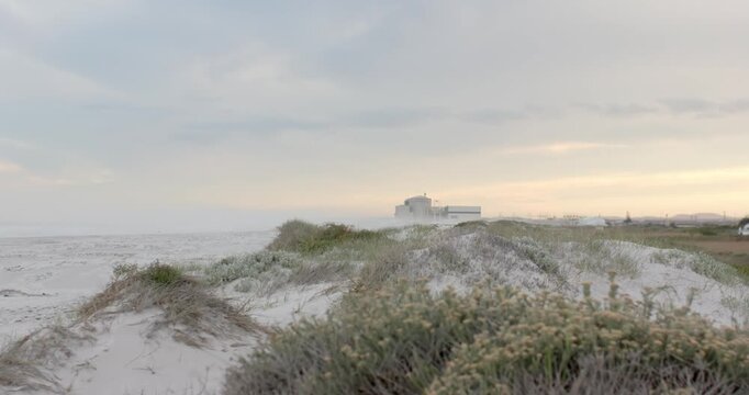 Gentle onshore breeze is making coastal grasses on central sand dune sway while ocean is lapping