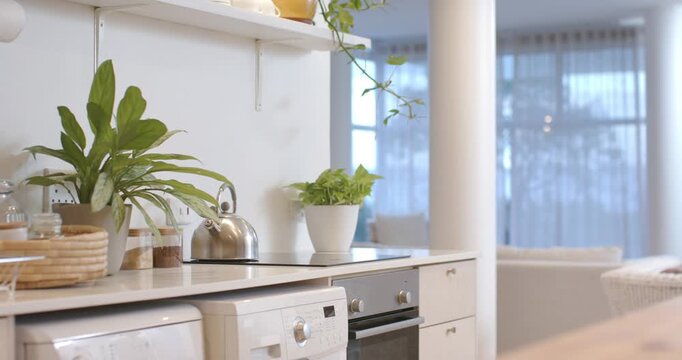 Camera is shifting right and upward, revealing kettle and plants on counter, vine and living area