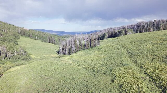 Breathtaking Aerial Views of Lush Green Mountain Landscape