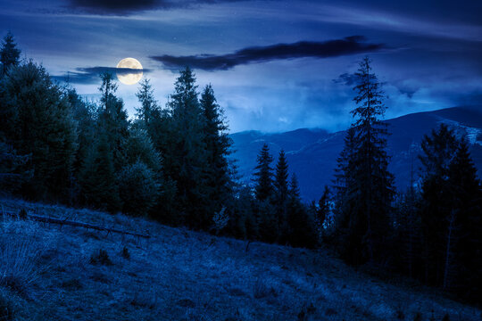 mountain landscape ukraine with spruce forest at night. full moon over rural valley of podobovets in the distance. dark sky. mysterious background for carpathian countryside adventures